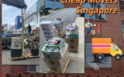 House Moving Service from Wilkie Road to Havelock Road