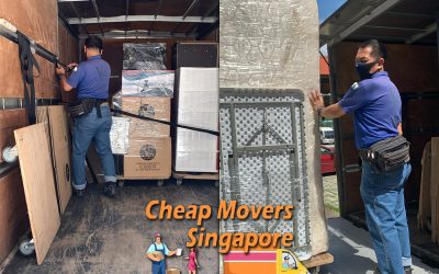 House Moving Service From Highlang Walk To Carisbrooke Grove