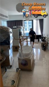 cheap movers