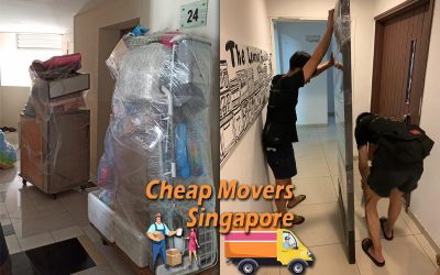 House Moving Service from Macpherson Rd to Brighton Crescent