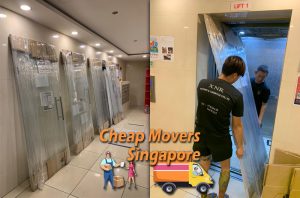 piano movers