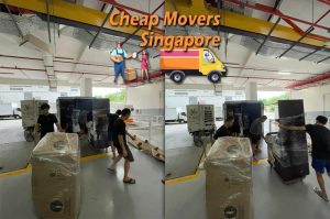 best movers singapore