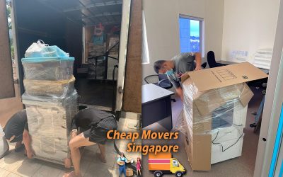 House Moving Service from Wilkie Edge to Bedok