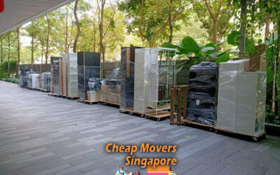 The Role of Technology in Relocation: Apps and Tools to Simplify Your Move**