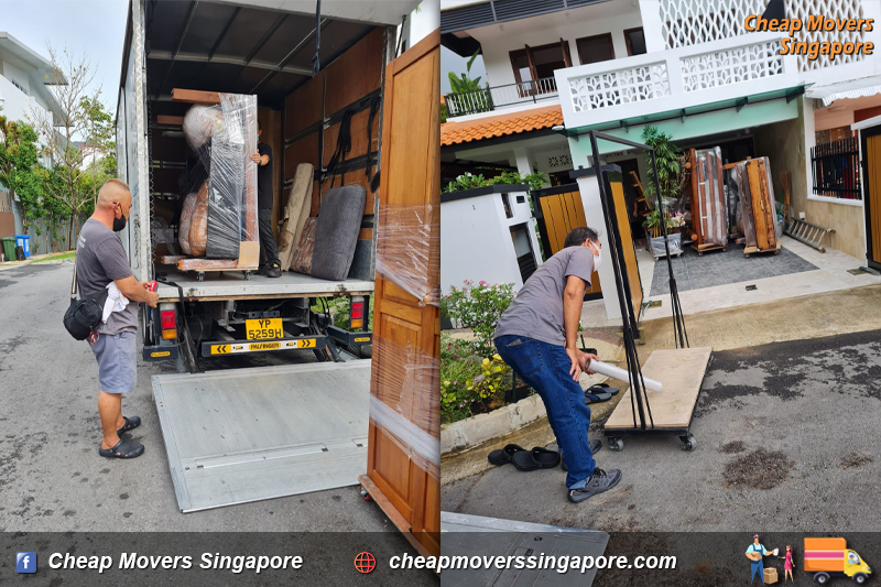 professional movers