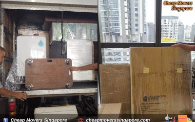 House Moving Service from Clementiwoods to Devonshire Rd