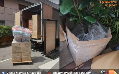 House Moving Service from Yishun to Lim Tua Tow Rd