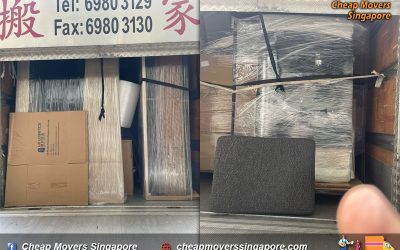 House Moving Service from Thomson Lane to Toh Tuck landed house