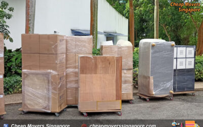 Moving Checklist: Your Step-by-Step Guide to a Smooth Transition**