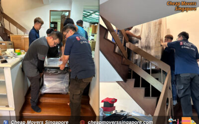 A Comprehensive Guide to Choosing the Right Storage Option for Your Moving Needs